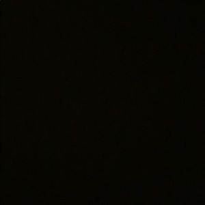 Meet your Posher, Léonard